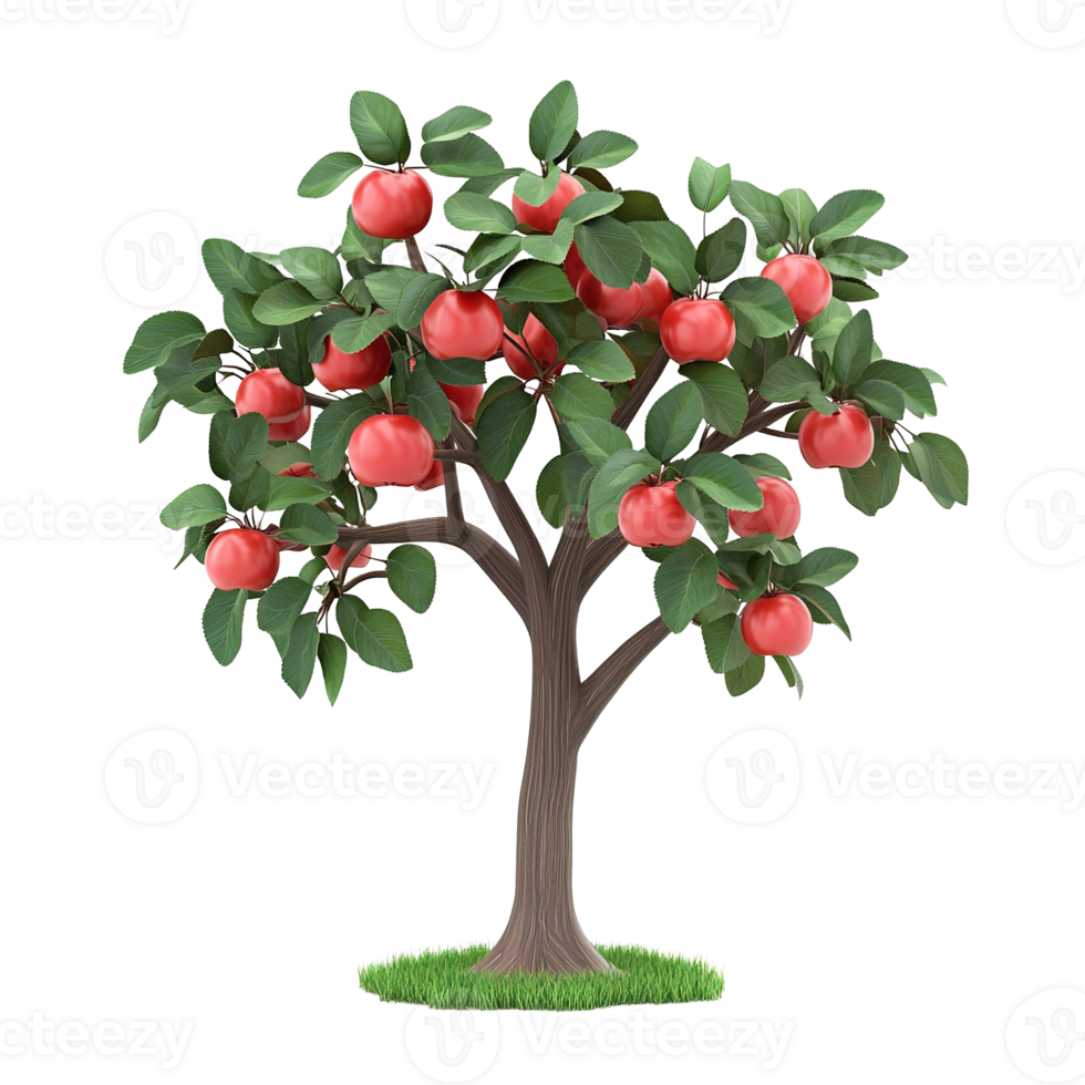 A small fruit tree with ripe red apples and green leaves png