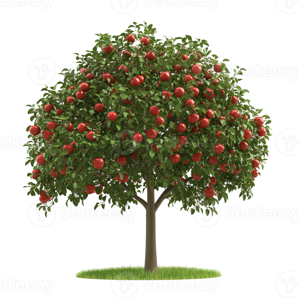 A fruit bearing tree filled with red apples on its branches png