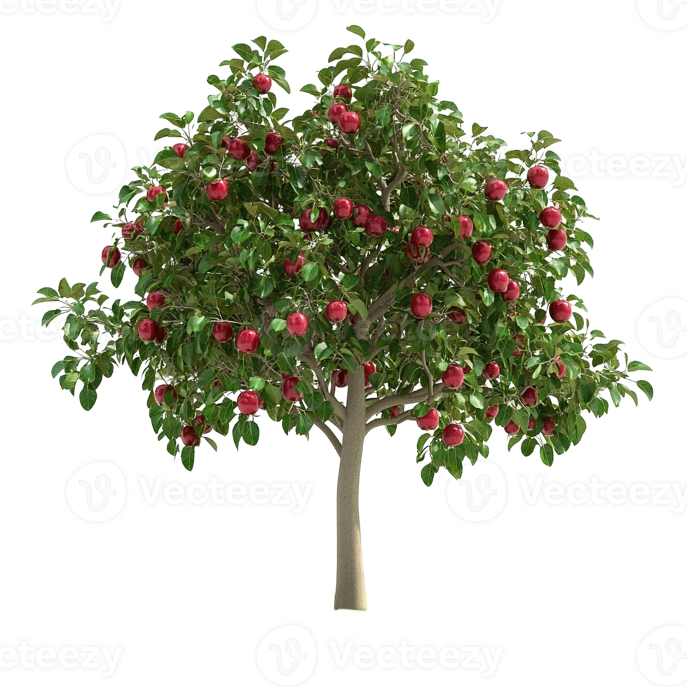 A lush green tree bearing numerous ripe red apples everywhere png
