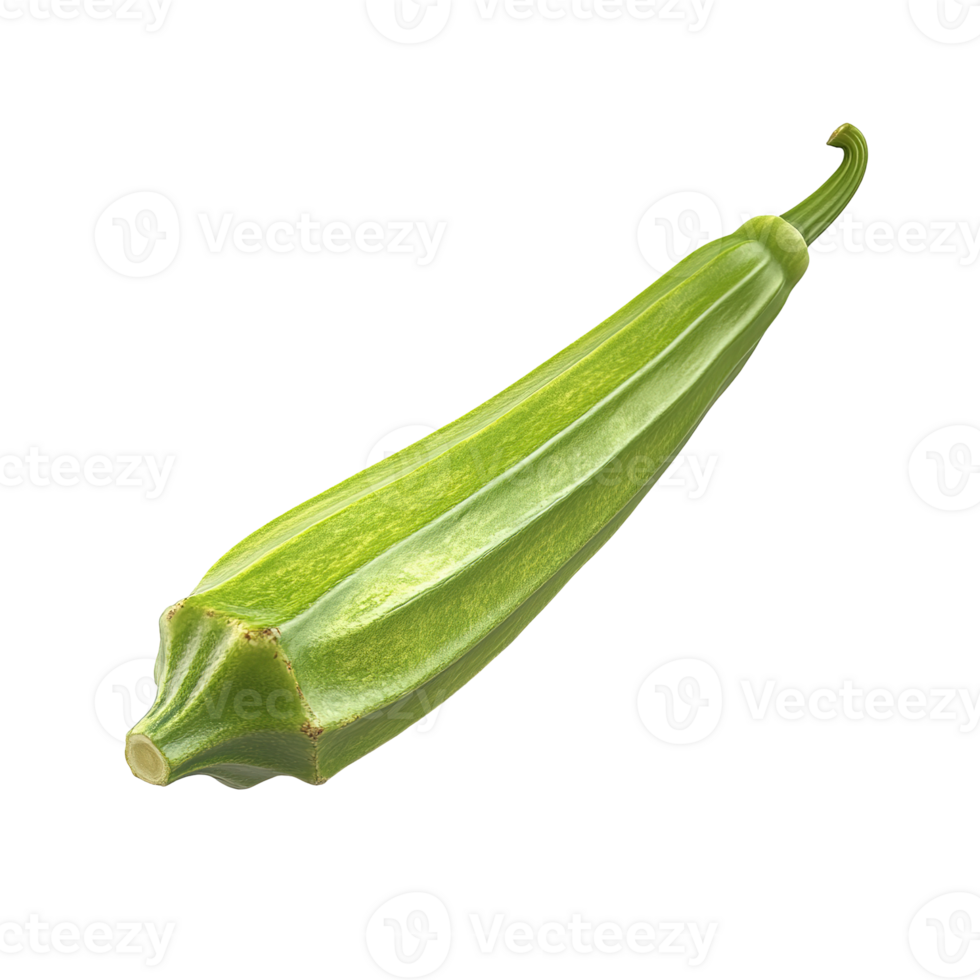A single green okra fruit isolated on transparent background png