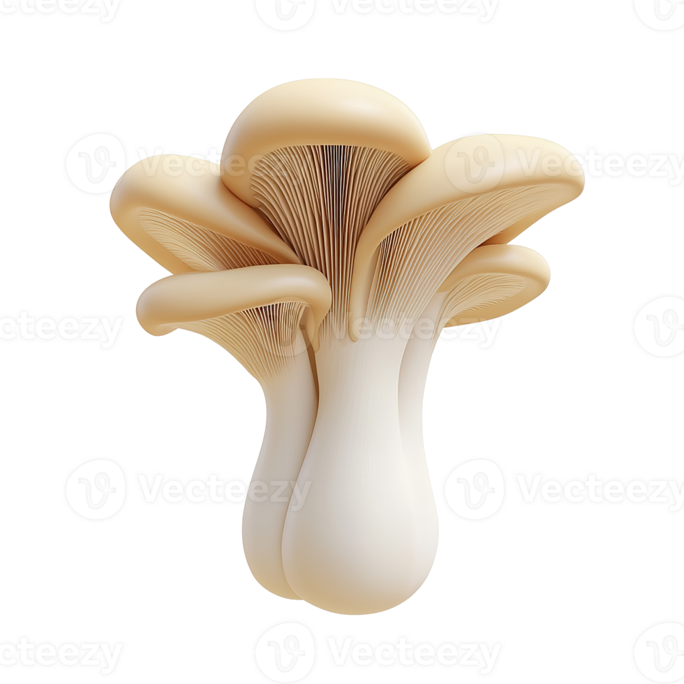 A cluster of beige oyster mushrooms with many stacked caps png