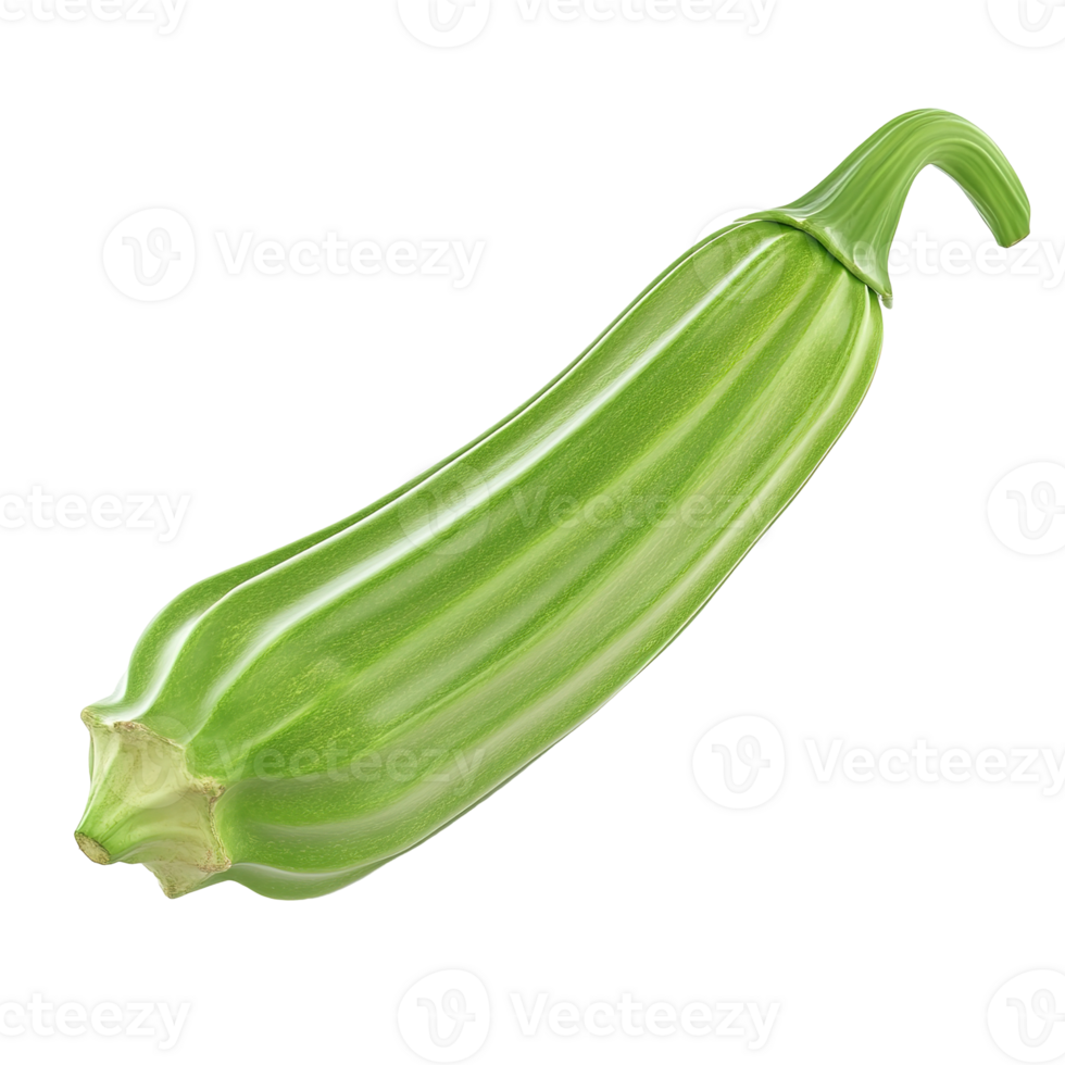 An isolated elongated green zucchini with its stem is presented png