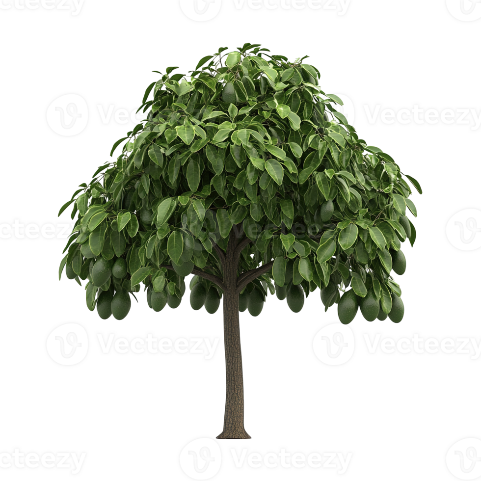 A detailed image featuring a lush green tree with fruit png