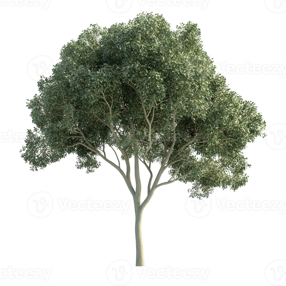 A leafy green tree standing alone with a natural color scheme png