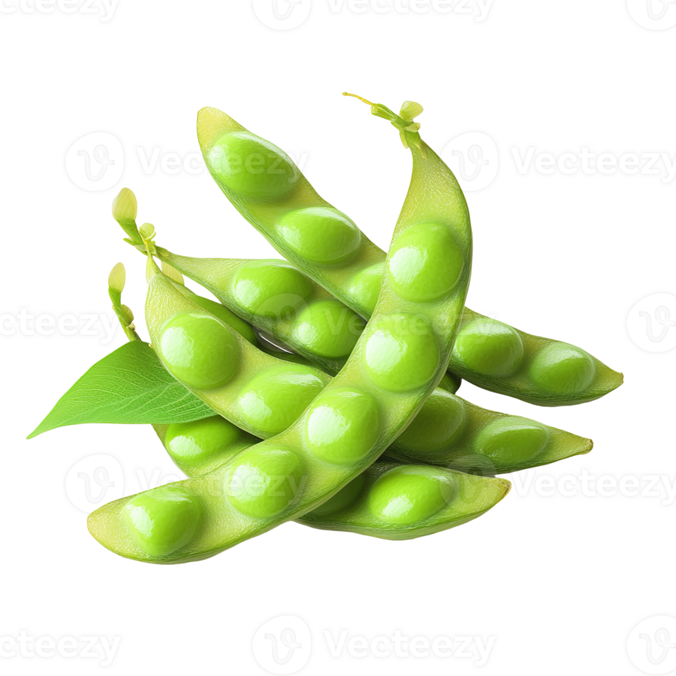 Several open green pods containing multiple bright green seeds isolated on transparent background png