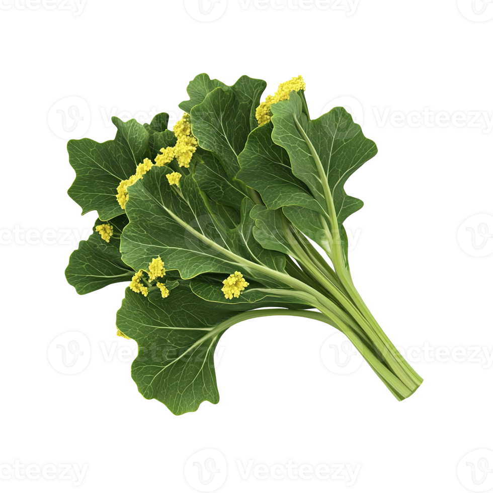 A fresh bunch of leafy green vegetables with small yellow flowers png