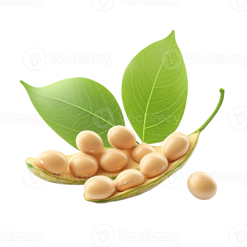 Close up photograph of soybeans inside of a pod with leaves png