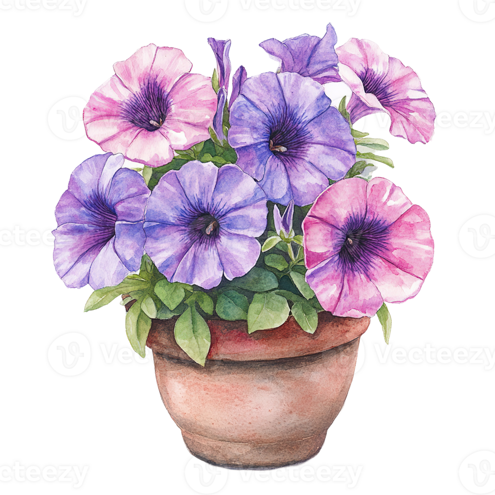 A watercolor painting of colorful flowers in a terracotta pot png