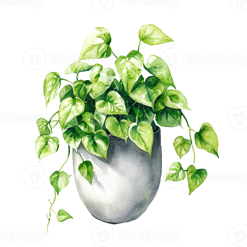 A watercolor painting depicts a green leafy houseplant in a pot png