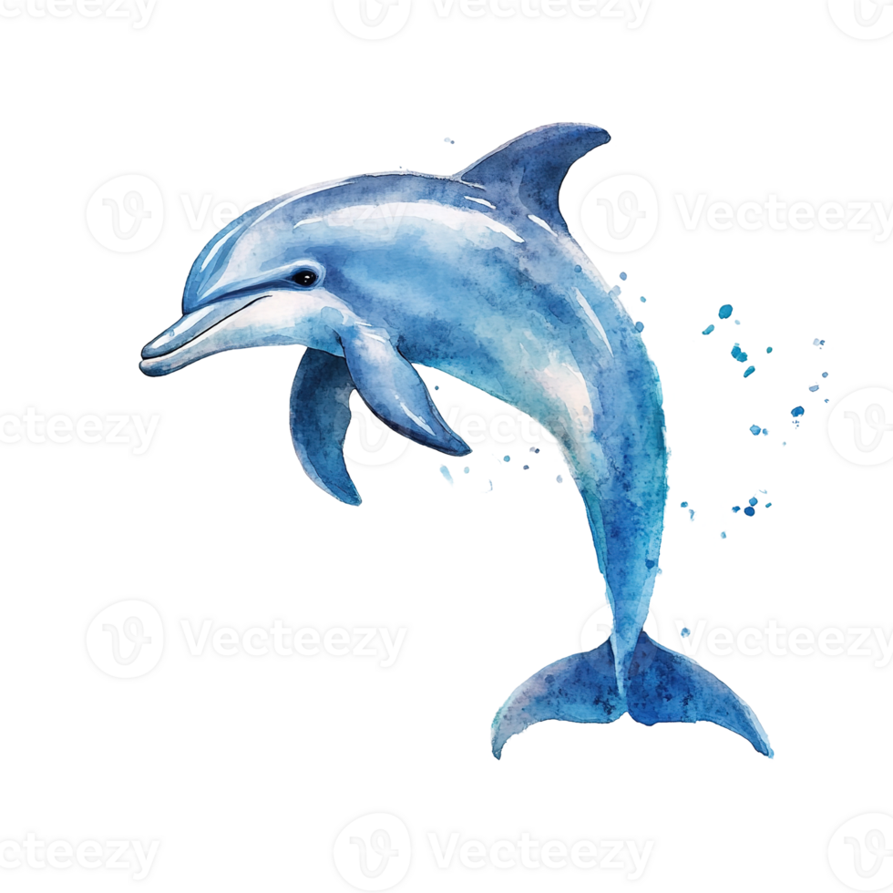 A watercolor painting depicts a playful dolphin in graceful motion png