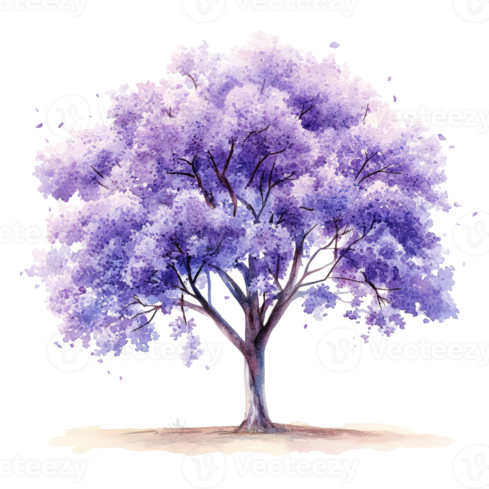 Watercolor illustration of a blooming tree with purple colored flowers png