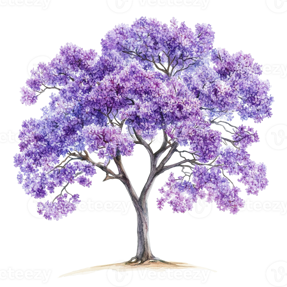 A watercolor depiction of a tree with purple flowers png