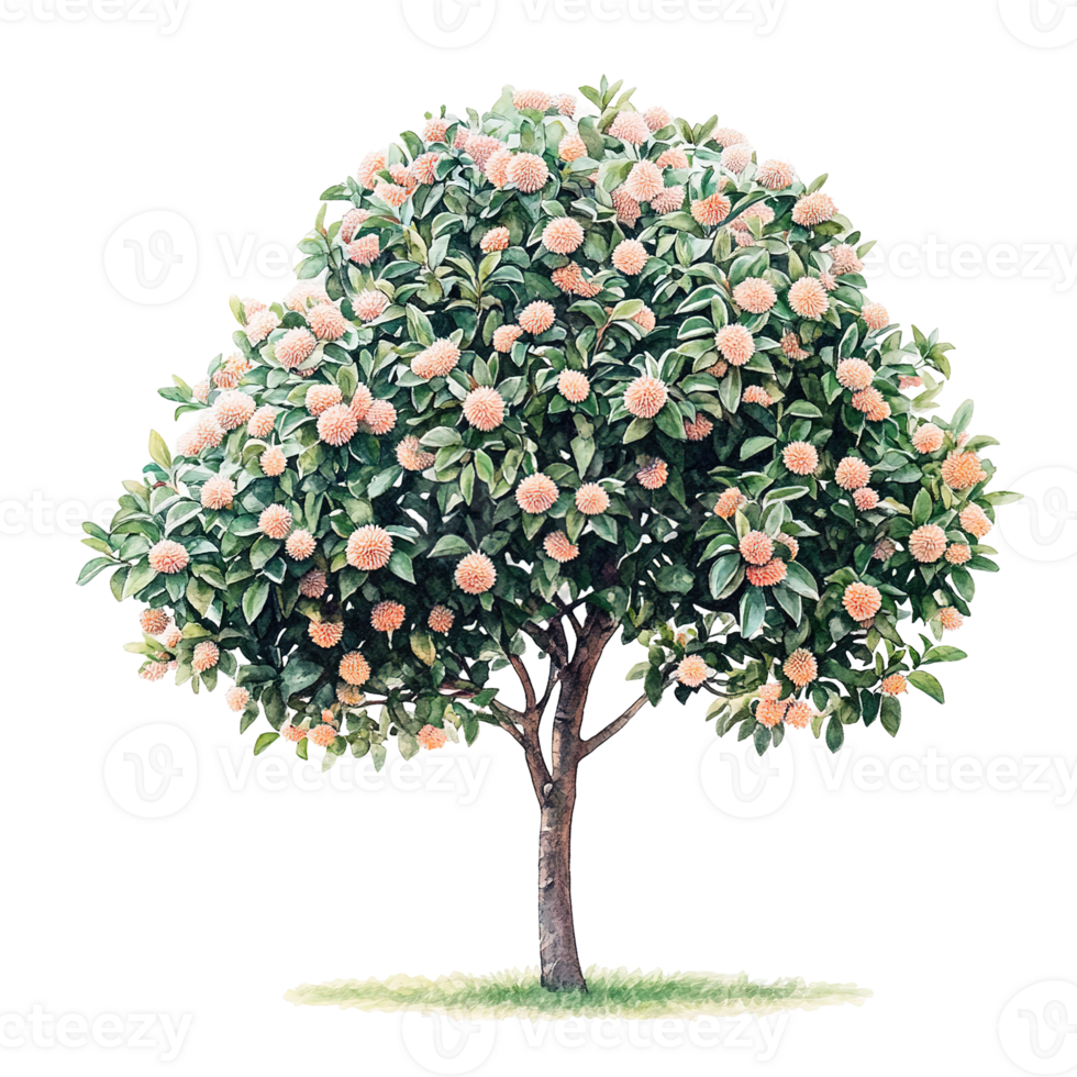A detailed image of a tree full of blooms png