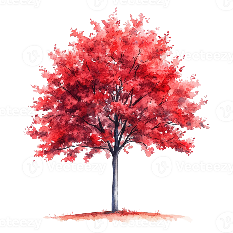 A vibrant red watercolor painting of a full tree in bloom png