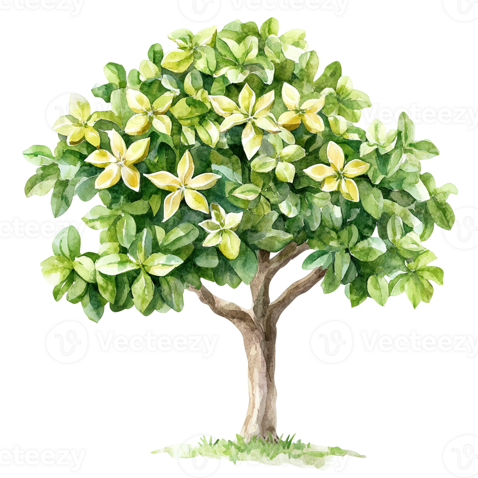 A watercolor painting of a flowering tree with vibrant green leaves png