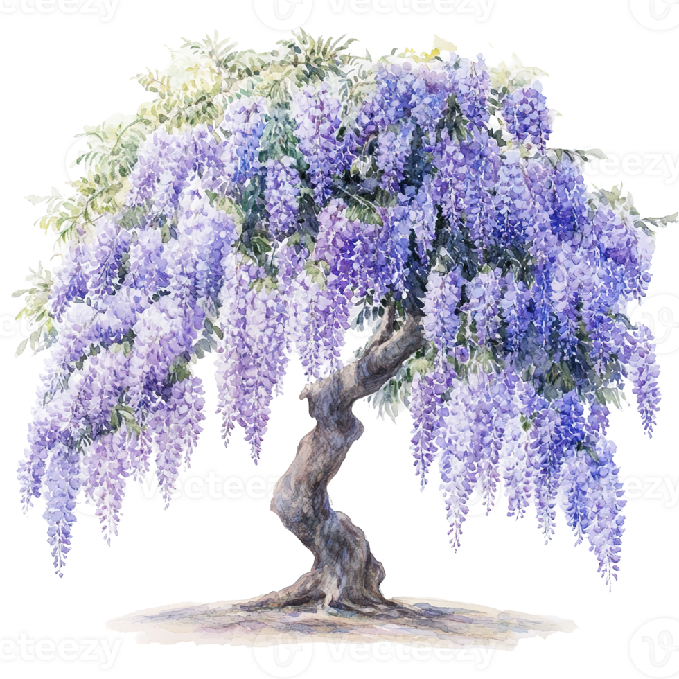 A beautiful tree gracefully displays a cascade of purple flowers gracefully png