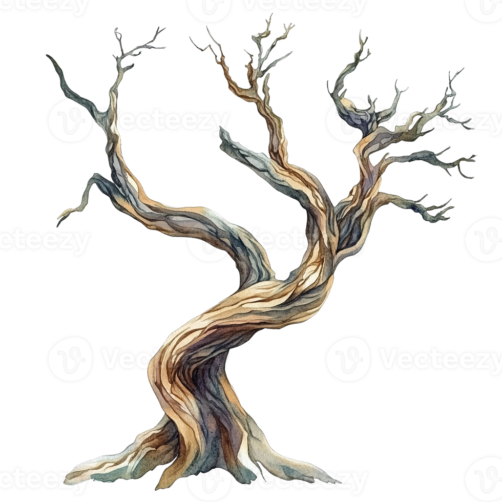 A watercolor painting depicts a twisted bare tree on a transparent background png