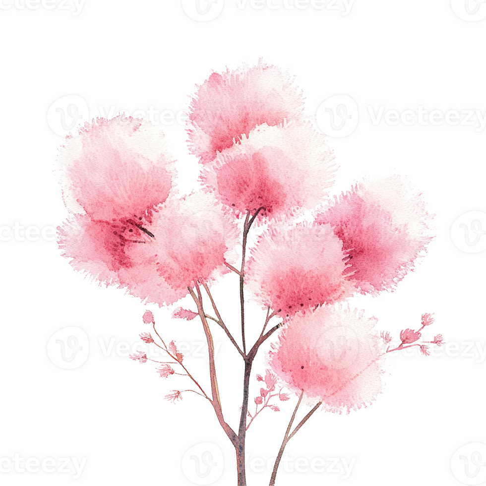 A watercolor illustration shows a flowering tree with pink blossoms png