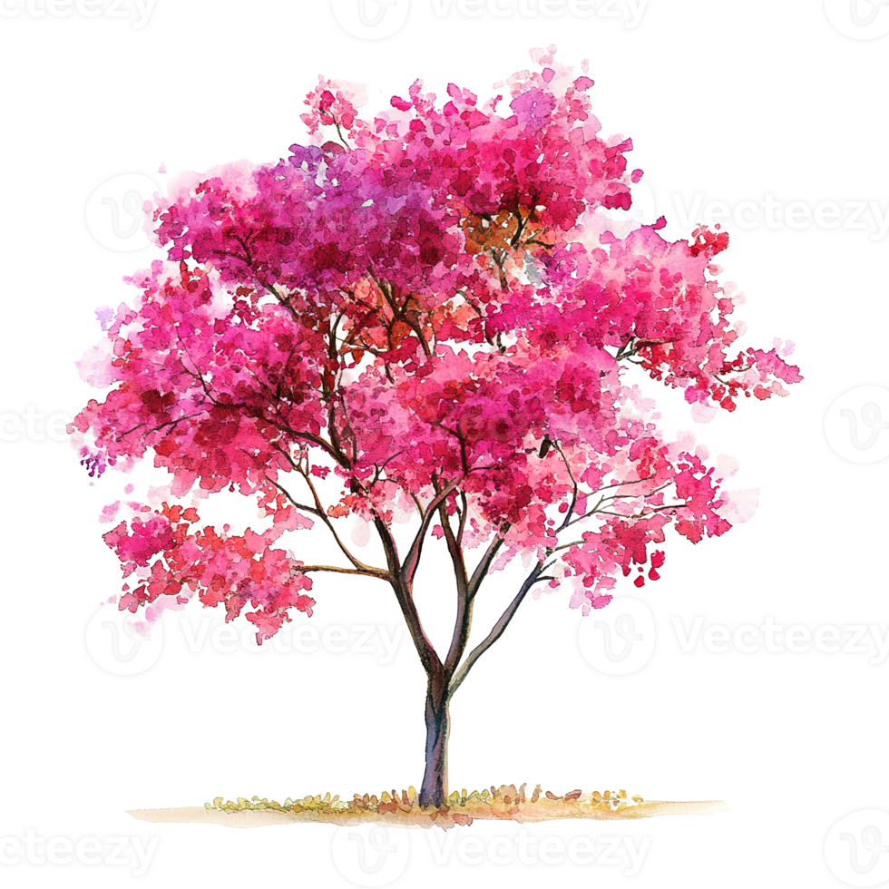 Beautiful watercolor painting of a tree with pink and red flowers png