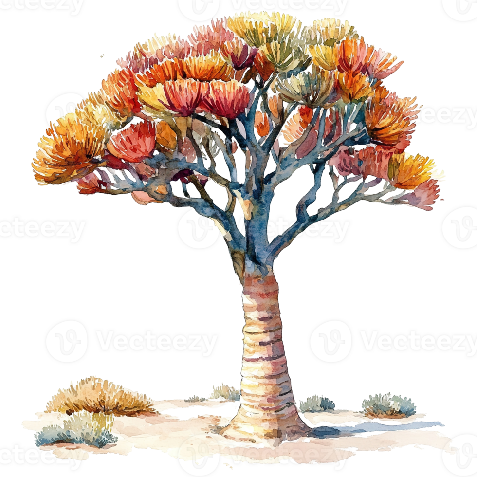 A vibrant watercolor illustration of a unique flowering desert tree png