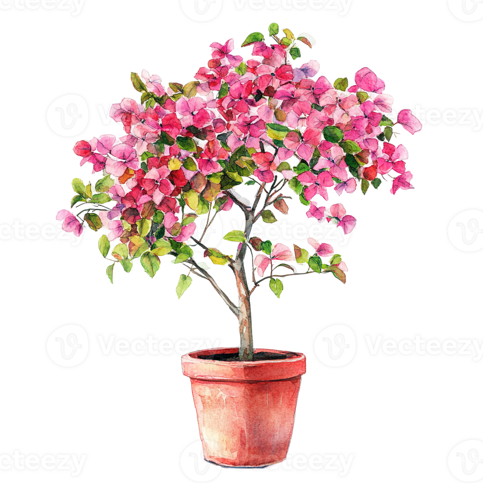 A Watercolor Painting Depicting a Potted Flowering Plant png