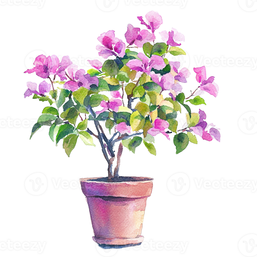 A watercolor painting depicting a flowering plant in a pot png