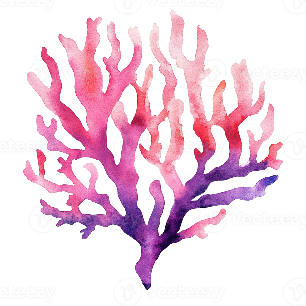 A vibrant watercolor illustration of a coral reef with many branches png