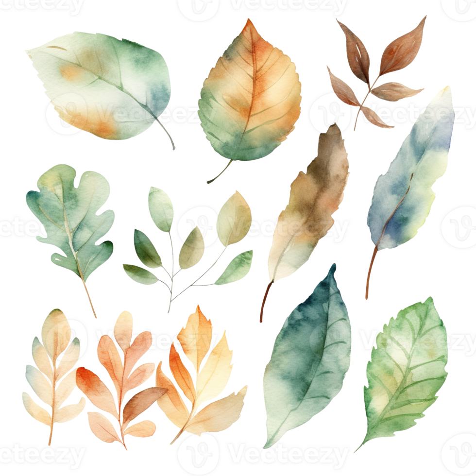 Watercolor paintings display various colorful and stylized autumnal leaves png