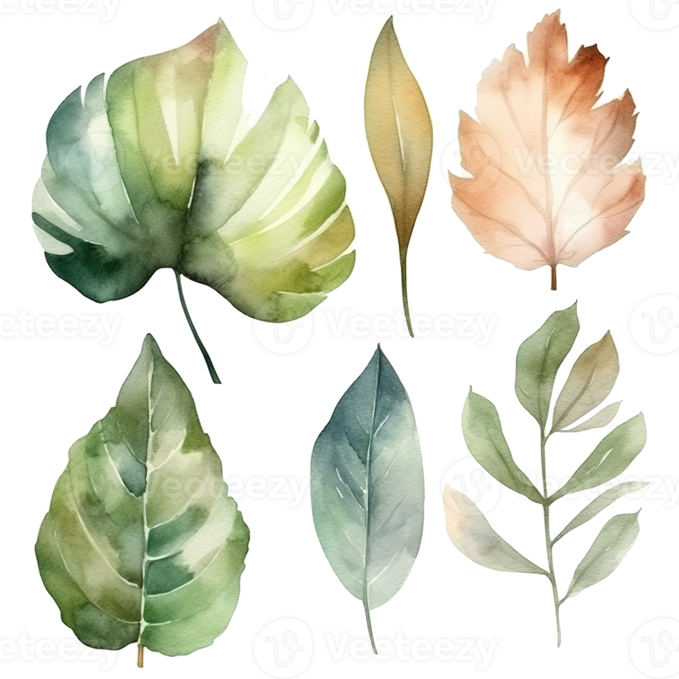 Watercolor illustrations of diverse leaves displaying varied shapes and shades png