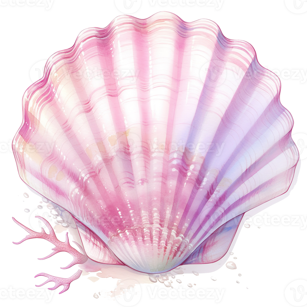 A beautifully illustrated watercolor image of a large seashell png