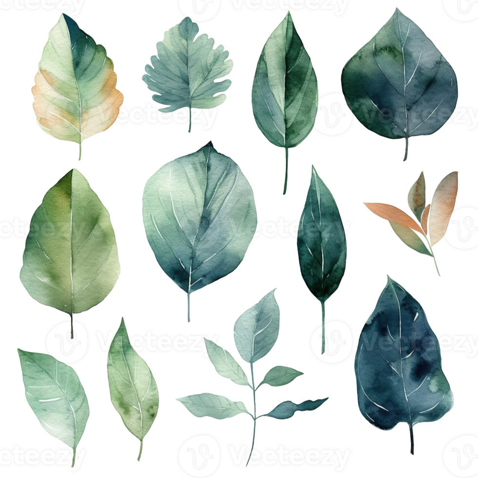 Watercolor Illustrations Depicting Various Green and Brown Botanical Leaves png