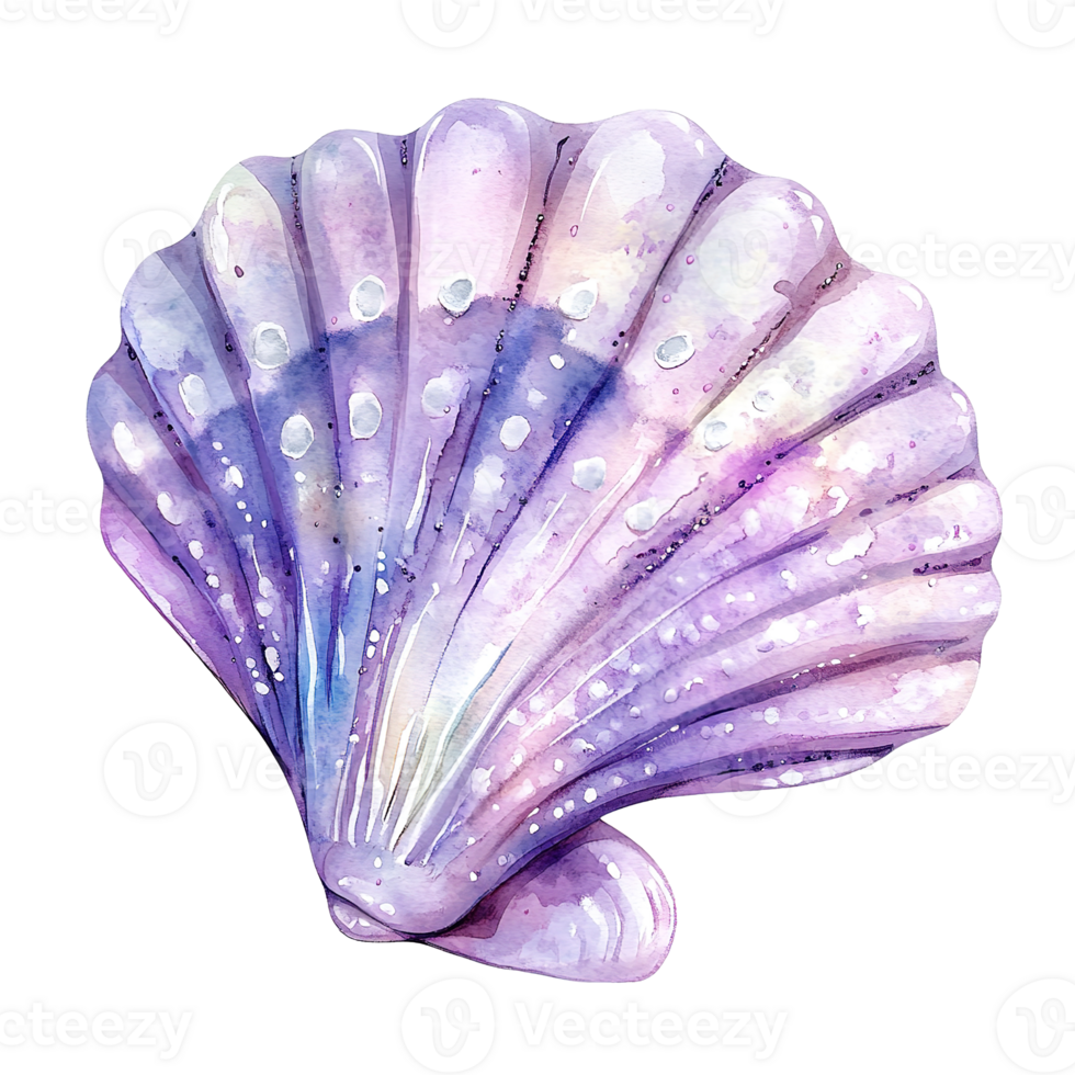 A beautiful watercolor painting of a delicate seashell in purple colors png