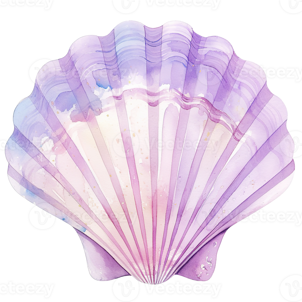 A detailed watercolor painting depicts a beautiful shell in purple hues png