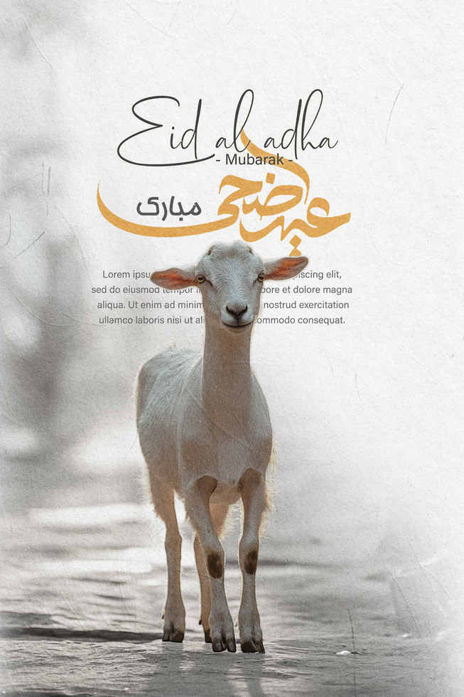 Eid al adha mubarak social media post template design psd