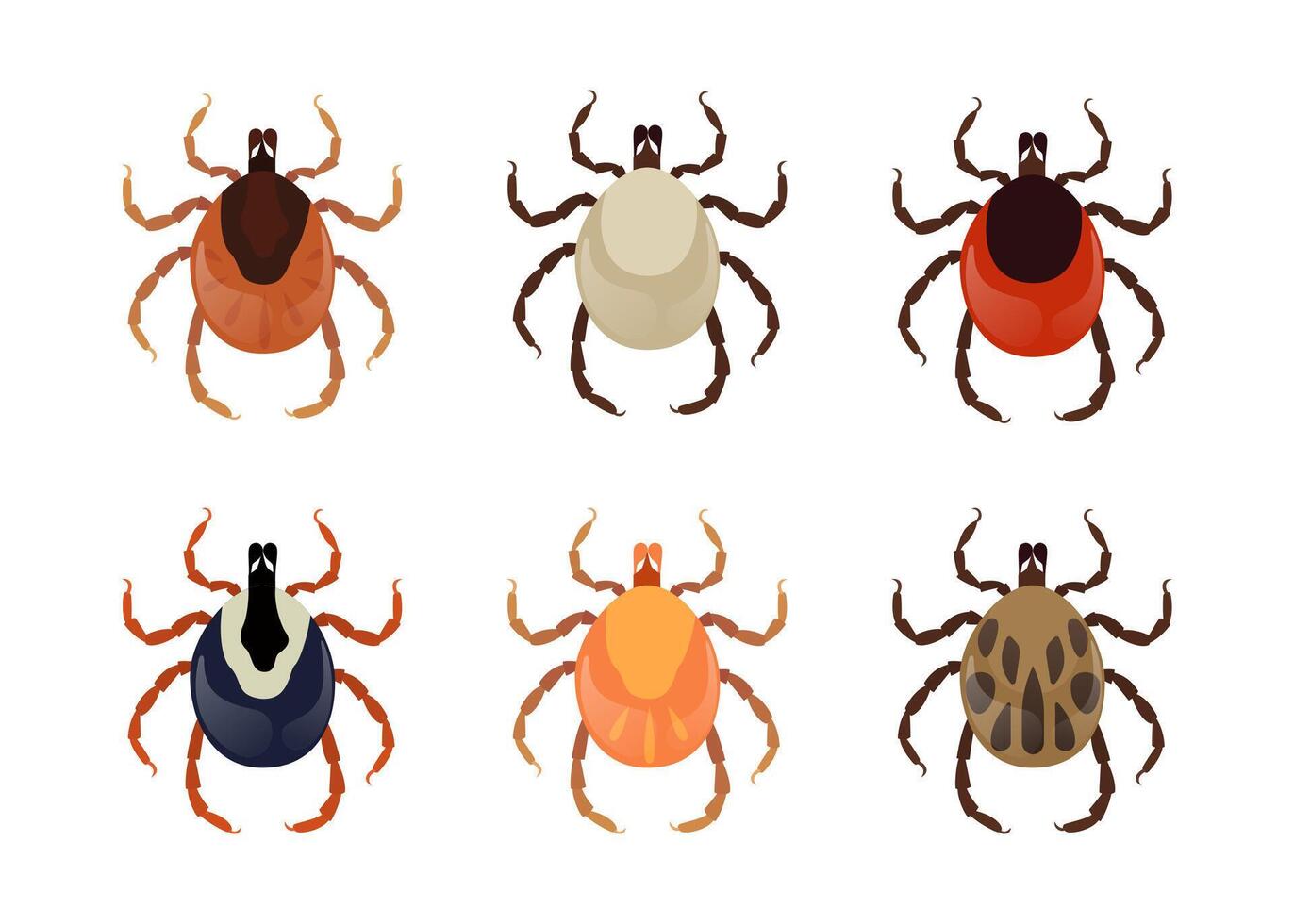 Six different colored mites, types of ticks, dangerous insects transmit diseases, on white background vector