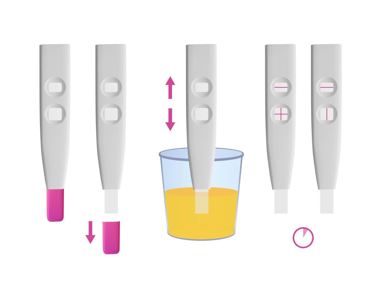 Step by step guide on how to correctly perform a pregnancy test, dipping it in urine and interpreting the results, positive and negative vector