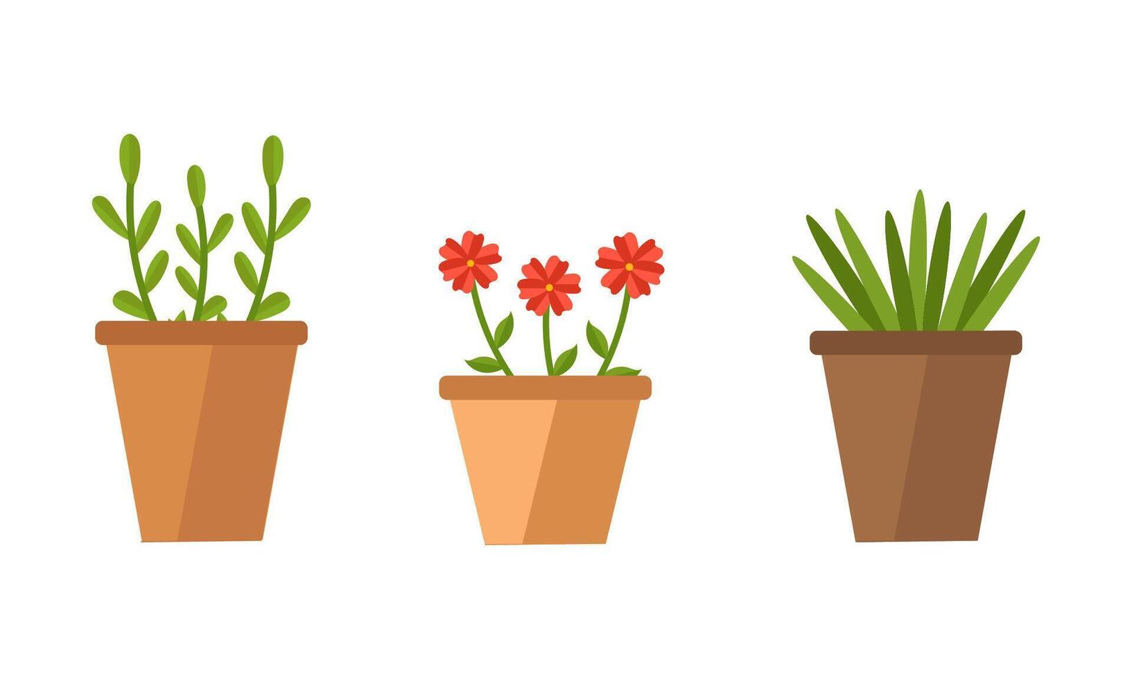 Set of 3 pots with plants vector