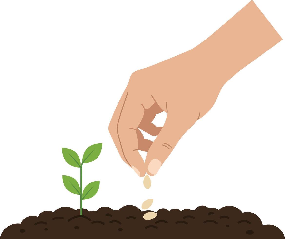 A hand planting seeds in rich soil beside a small green plant in a flat design illustration vector