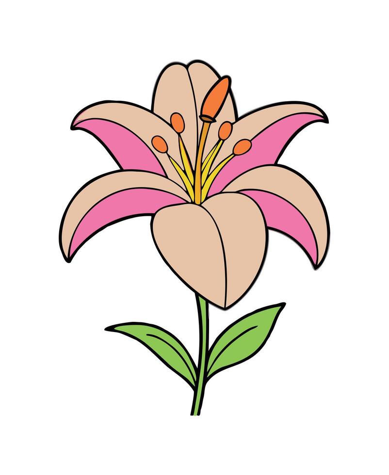 Colorful Lily Flower - Vibrant Floral Art vector