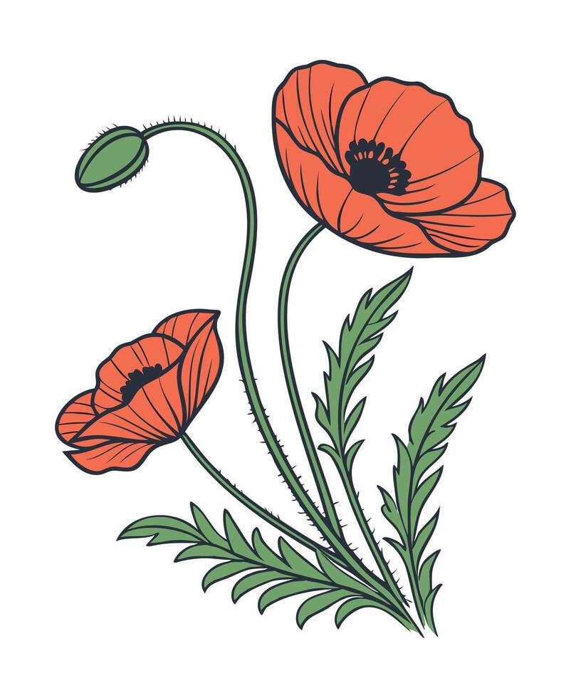 Floral Red Poppy Flowers with Green Leaves vector