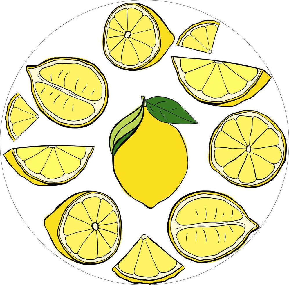 Lemon slices circle round composition. yellow graphic line ink illustration for logo, package, kitchen design, fabric and textile. vector