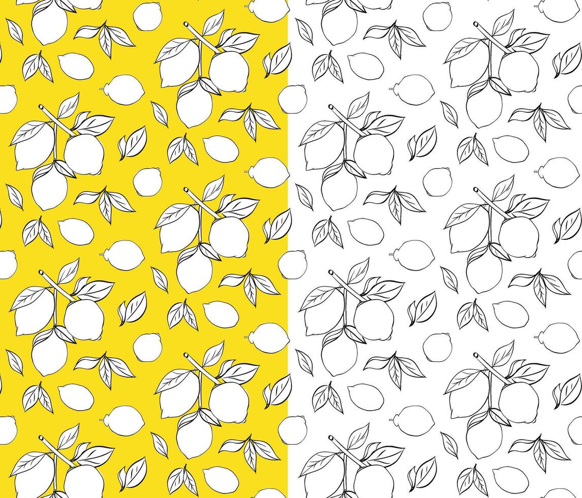 Pattern with citric lemons on the branches. Ripe lemons on branches with leaves in a black and white seamless art. Graphic line ink illustration for package, kitchen design, fabric and textile vector