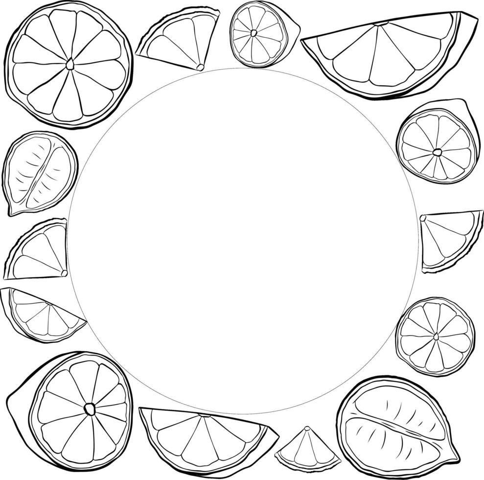 Lemon slice square frame. black and white graphic line ink lemon fruit template. Fresh icon design, juice concentrate symbol for banners, print for fabric, labels, t-shirt printing. vector
