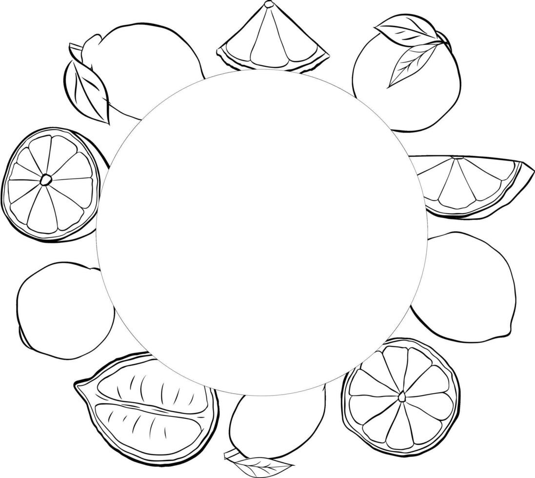 Lemon whole and slices circle round frame. Summer exotic and tropic background design. graphic line ink black and white universal card with place for text. vector