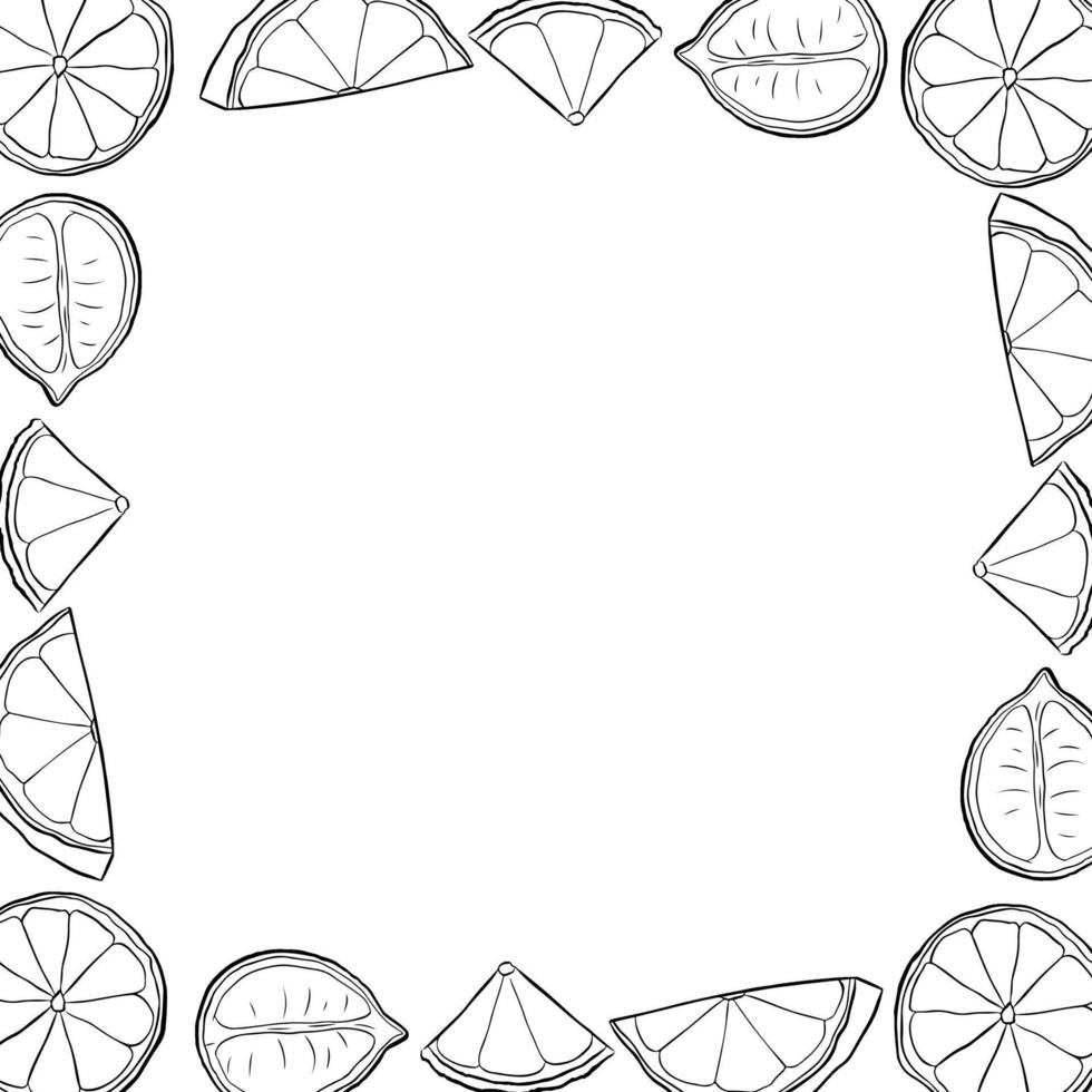Lemons slice square frame. Black and white template with citrus fruits. graphic line ink illustration with empty space for text. Ideal for menu, package, cosmetic, textile, cards vector