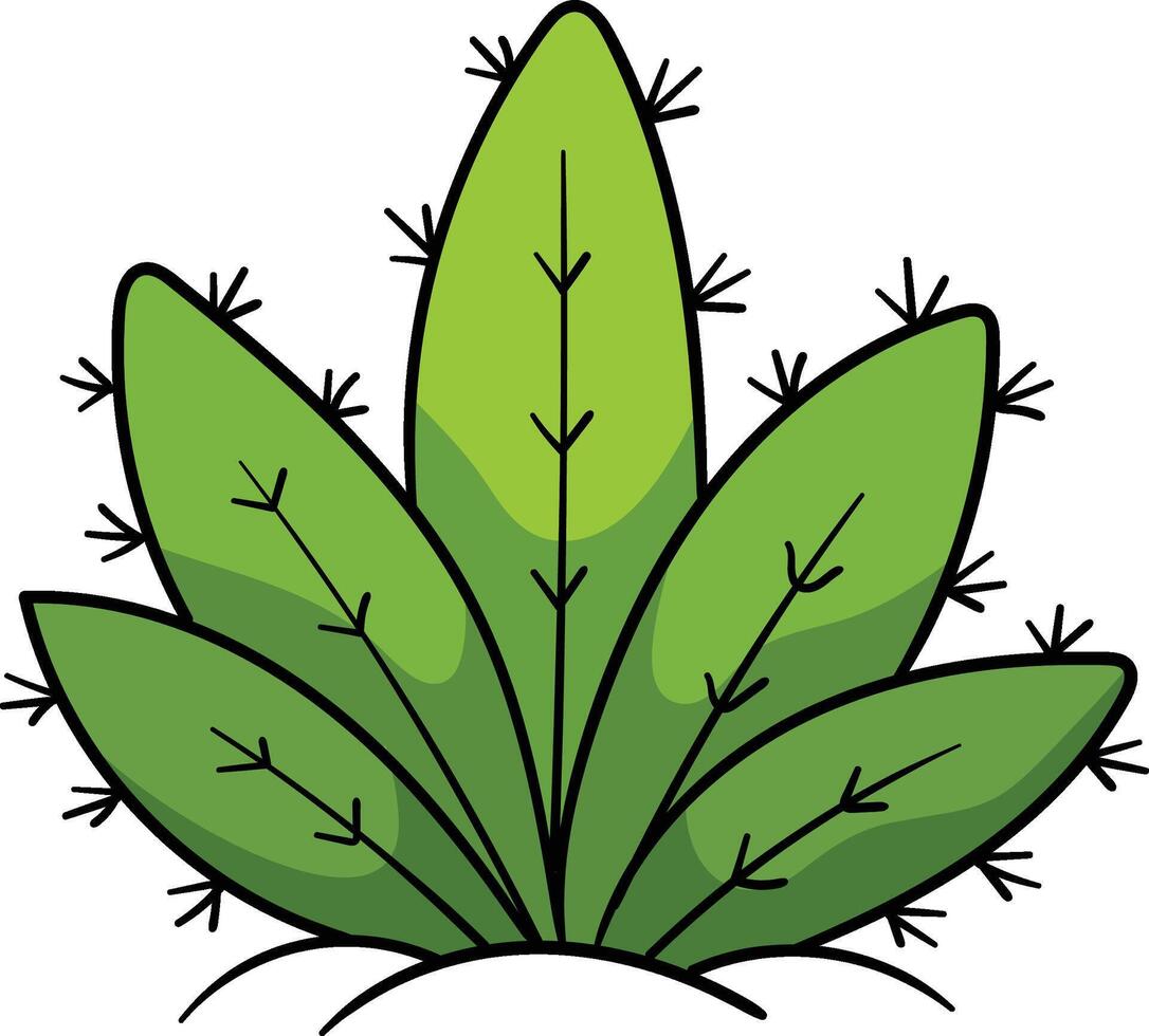 Cactus resembling an agave or aloe plant, with pointed green leaves and small black spines, growing from the ground vector
