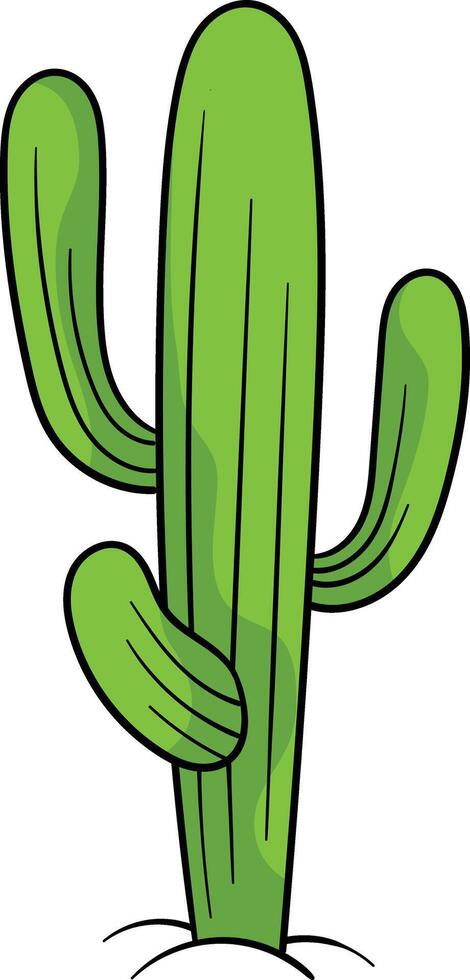 Saguaro cactus with multiple tall, green arms and vertical ridges vector