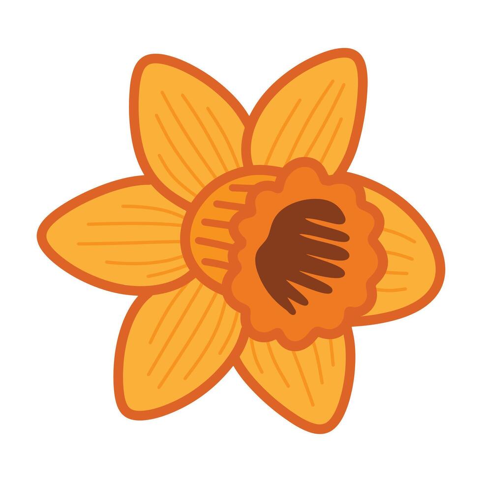 Hand drawn daffodil flower head illustration in simple doodle style vector