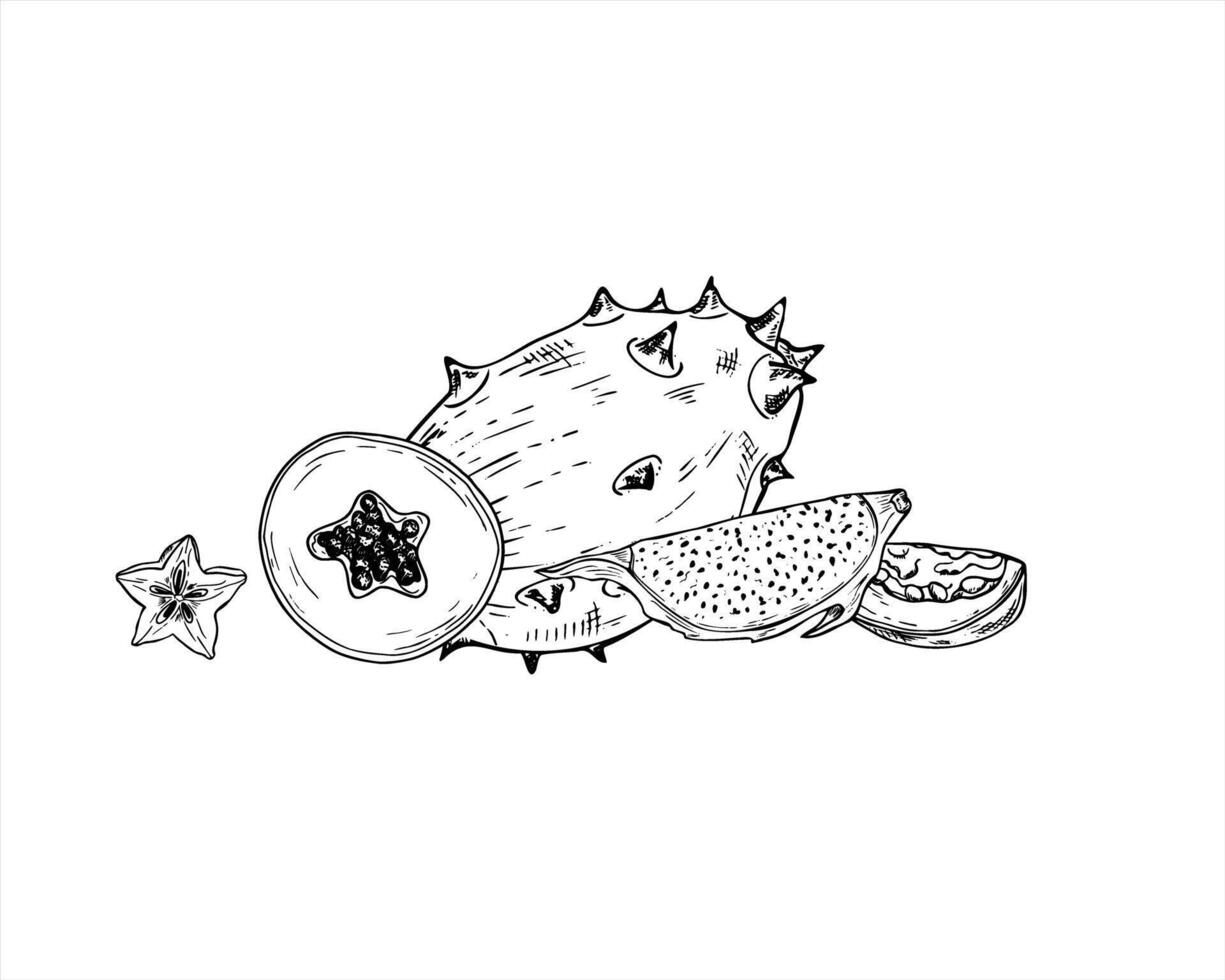 Exotic tropical fruit mix slices hand drawn illustration painted by black inks. Whole kiwano and slices of Pitahaya, papaya, maracuja and carambola fruits monochrome composition. For summer design vector