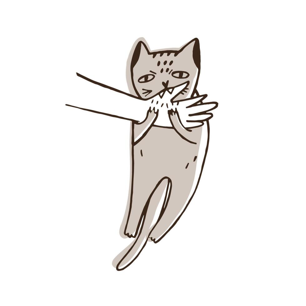 Angry cat biting hand of its owner isolated on white background. Aggressive, evil or furious kitty. Problem of disobedience of domestic animal, pet's aggression. Hand drawn illustration. vector
